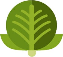 Asset 1GCM asset 1gcm
