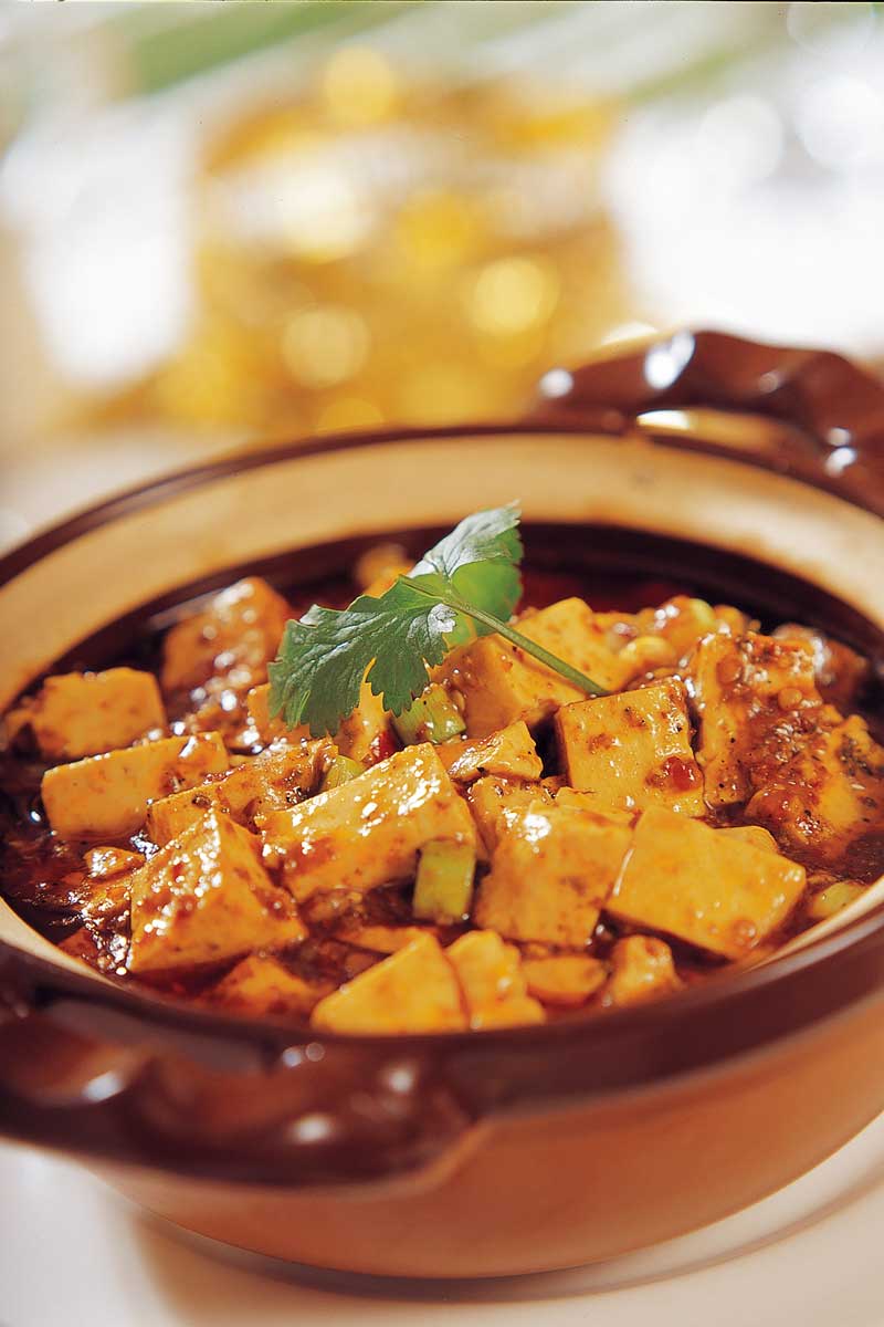 mapo-tofu mapo tofu